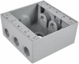 Box D5317 1/2" 2 GANG