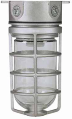 Vapourproof Incandescent DVCS100CG