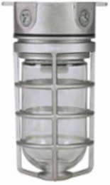 Vapourproof Incandescent DVCS100CG