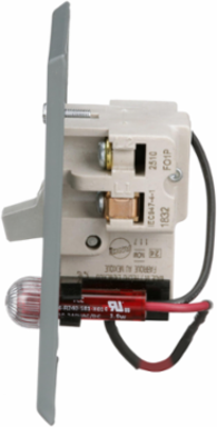 Manual Starter 1 HP, 16A, 1 Pole, NEMA 1, Toggle Switch, Red Indicator