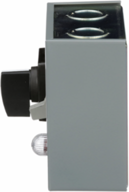 Duplex Manual Starter 16A, 1 Pole, 1 HP at 277VAC, NEMA 1