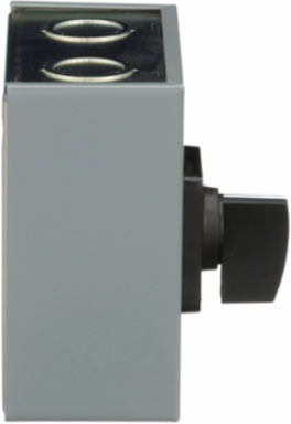 Duplex Manual Starter 16A, 1 Pole, 1 HP at 277VAC, NEMA 1