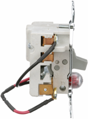 Manual Starter 16A 2 Poles 1HP at 277V AC Red Indicator