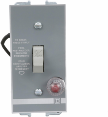 Manual Starter 16A 2 Poles 1HP at 277V AC Red Indicator