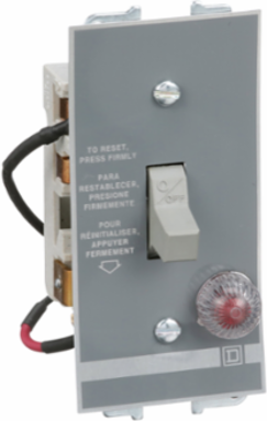 Manual Starter 16A 2 Poles 1HP at 277V AC Red Indicator