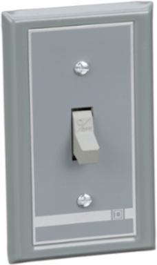 Manual Motor Switch, 30A 2 Pole, 3HP at 575VAC, NEMA 1 Flush Mount