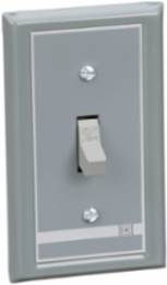 Manual Motor Switch, 30A 2 Pole, 3HP at 575VAC, NEMA 1 Flush Mount