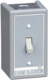 Manual Motor Switch, 30A, 2 Pole, 3HP at 575VAC, NEMA 1 Enclosure
