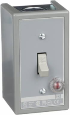Manual Motor Switch, 30A, 2 Pole, 3HP, Toggle Operated, NEMA 1 Enclosure