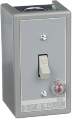 Manual Motor Switch, 30A, 2 Pole, 3HP, Toggle Operated, NEMA 1 Enclosure