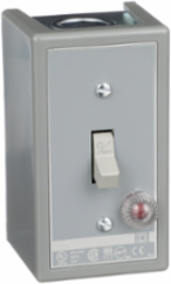 Manual Motor Switch, 30A, 2 Pole, 3HP, Toggle Operated, NEMA 1 Enclosure
