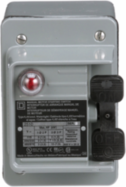 Manual Motor Switch - 30A, 2 Pole, 3HP, NEMA 4, Toggle Operated