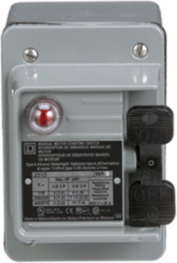 Manual Motor Switch - 30A, 2 Pole, 3HP, NEMA 4, Toggle Operated