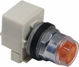 Harmony Illuminated Push-Button 30mm Amber Spring Return 110-120V