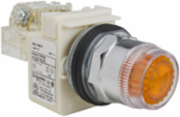 Illuminated Push-Button, 30mm, Green, Metal/Plastic, 120V, 1 C/O