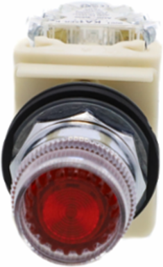 Illuminated Push-Button, 30 mm, Red, IP66, 120V AC/DC