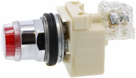 Illuminated Push-Button, 30 mm, Red, IP66, 120V AC/DC