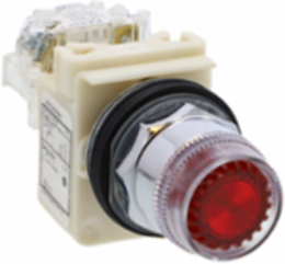 Illuminated Push-Button, 30 mm, Red, IP66, 120V AC/DC