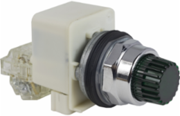 Harmony Illuminated Push Button, 30mm, Green, 110-120V AC, Spring Return