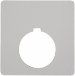 Blank Legend 30mm Plastic White with Black Marking, 63.5mm Dimensions