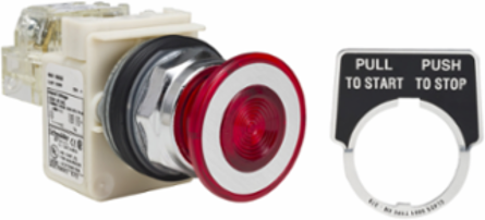 Illuminated Mushroom Push Button 30 mm Red, 120V, 1 C/O