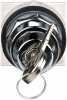 Key Selector Switch Head, 30 mm, Metal, E10 Key, 2 Positions, IP66