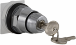 Key Selector Switch, Metal, 30mm, 2 Positions, Spring Return