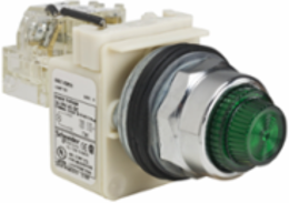 Push-to-Test Pilot Light, 30mm, Green, Polycarbonate Lens, 24-28V