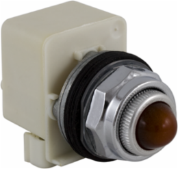 Push-to-Test Pilot Light, 30 mm, Amber, Yellow LED, 120V