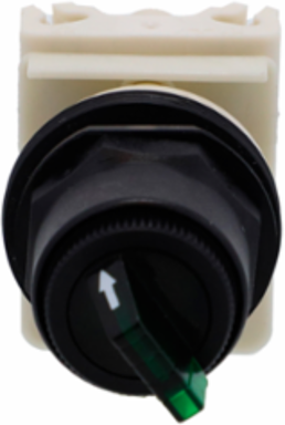 Illuminated Selector Switch Head, 30 mm, Green, 24-28V, 2 Positions