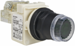 Illuminated Push Button, 30mm, Green LED, IP66, 120V