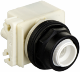 Illuminated Push-Button Head, 30mm, Spring Return, IP64, 110-120V