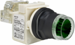 Illuminated Push Button 30mm Green Spring Return LED 120V IP66