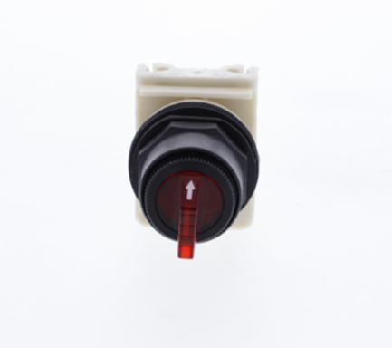 Illuminated Selector Switch Head, 30 mm, Red, 3 Positions, NEMA 1-4X, 110-120V