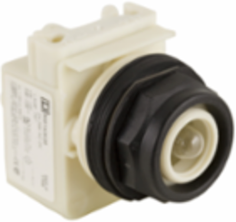 Harmony Pilot Light Head, 30 mm, Plastic, 6V