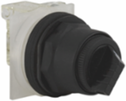 Selector Switch, 30mm, Plastic, Black, 2 Positions, IP66