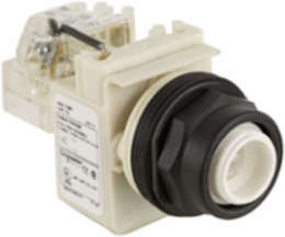 Harmony 9001SK Push-to-Test Pilot Light Head, 30 mm, 110-120V AC, IP66