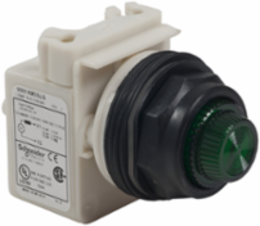 Harmony Push-to-Test Pilot Light, 30 mm, Green LED, 24-28V, IP66