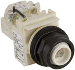 Push-to-Test Pilot Light Head, 30 mm, IP66, 120V, Incandescent Bulb