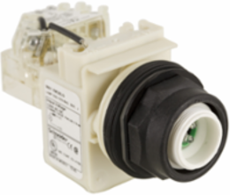 Harmony Push-to-Test Pilot Light Head, 30mm, Green LED, 120V