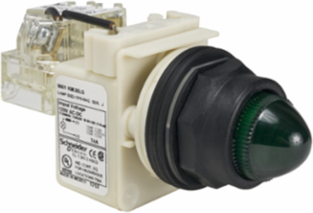Green LED Push-to-Test Pilot Light, 30 mm, Domed, 120V, IP66