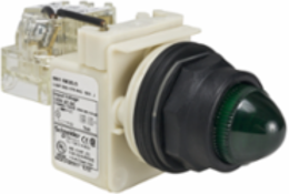 Green LED Push-to-Test Pilot Light, 30 mm, Domed, 120V, IP66