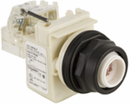 Push-to-Test Pilot Light Head 30mm LED Red 120V IP66