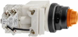 Harmony Push-to-Test Pilot Light, 30 mm, Amber LED, 120V