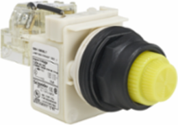 Harmony Push-to-Test Pilot Light, 30 mm, Yellow LED, 120V, IP66