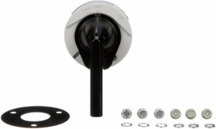 Rotary Handle Assembly, 3 Inch, 125A to 250A, NEMA 1/3R/12
