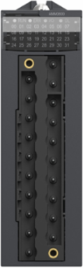 Modicon X80 Analog Non-Isolated I/O Module, 4 Inputs, 2 Outputs, 0-20mA, IP20
