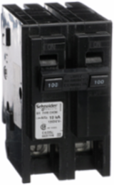 Miniature Circuit Breaker 100A 2-Pole 120/240V AC 10kA