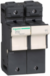 Fuse carrier, TeSys DF, 2P, 125A, 690VAC, fuse size 22x58mm