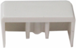 Dexson Stop End 13 x 7 mm ABS + PC White